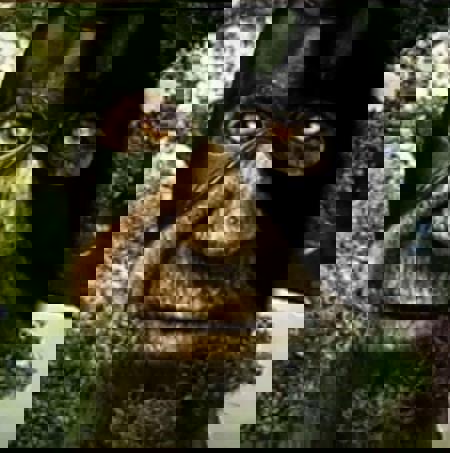 59894's Avatar